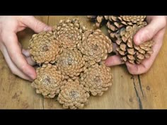 two hands holding pine cones on top of a wooden table