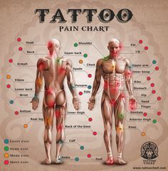 an image of the anatomy of a man's body with labels on each side