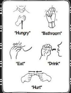 an image of different types of hand gestures