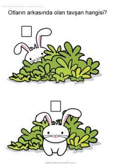 an animal is hiding in some plants