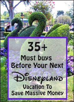 the words 35 must buys before your next disneyland vacation to save massive money in front of topiary bushes