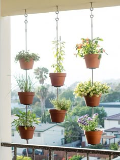 several potted plants hanging from the side of a window sill on a balcony