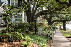 a house with lots of trees and plants on the side walk in front of it