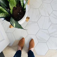 a person standing in front of a potted plant on top of a tiled floor