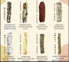 Sweetgrass Braid, Types Of Sage, Spiritual Crafts, Cleansing Sage, Cedar Sage, Sage Smudge Sticks, House Cleansing