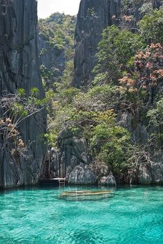 the water is crystal blue and clear in this photo, with some trees on either side