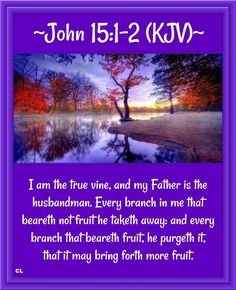 john 15 - 12 kjv i am the true vine, and my father is the husband