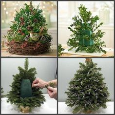 four pictures of different types of christmas trees in the process of being decorated and put together