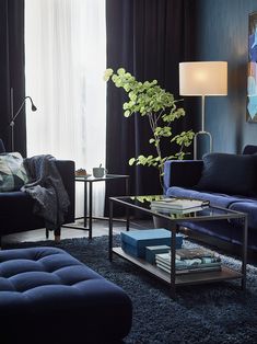 a living room filled with furniture and a tall plant in the middle of the room