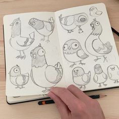 a hand is holding an open book with drawings of birds and other animals on it