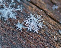 some snow flakes are sitting on a wooden surface