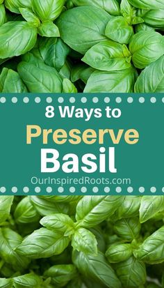 basil leaves with the words 8 ways to preserve basil