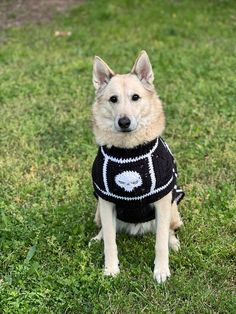 a dog sitting in the grass wearing a sweater