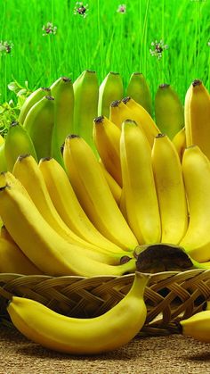 bunches of bananas in a wicker basket on a table with green grass behind them