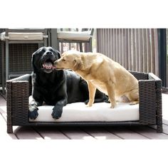 two large dogs sitting on top of a dog bed with their noses to each other