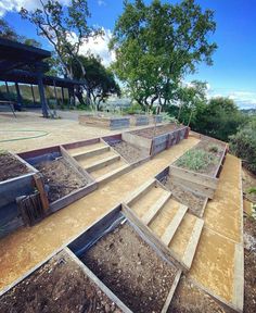 an outdoor garden with steps leading up to the trees and dirt area in front of it