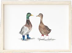 two ducks standing next to each other in front of a white frame with blue feet