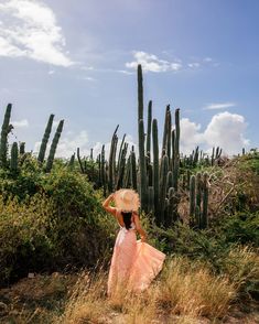 a woman in an orange dress and straw hat is walking through the desert with cactus trees