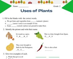 a worksheet with words and pictures on it to describe the parts of plants