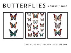 three butterfly paintings with the words butterflies modern and boho written below them in black