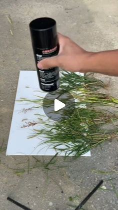 a person holding a black cup over a piece of paper with grass growing out of it