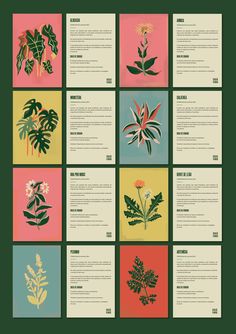 a bunch of different types of plants on a green background