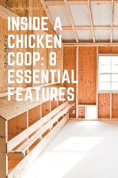 inside a chicken coop 8 essential features for the homeownershiper's house