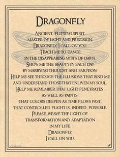 Dragonfly Quotes, Animal Spirit Guides, Pagan Witch, After Life, Animal Totems, Spell Book