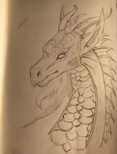 a pencil drawing of a dragon head