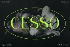 the word cesso is surrounded by flowers on a black background with neon green lettering