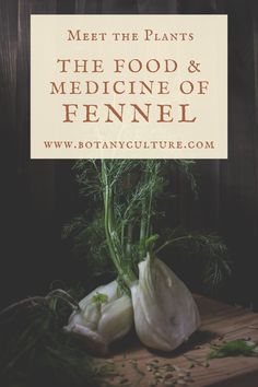 two fennels with the title meet the plants, the food & the medicine of fennel