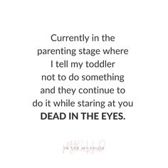 a quote that reads, currently in the parenting stage where i tell my toddler not to do something and they continue to do it while staring at you dead in the eyes