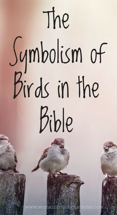 three birds sitting on top of wooden posts with the words, the symbolism of birds in the bible