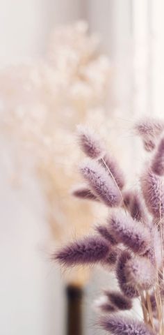 some very pretty purple flowers in a vase