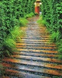 an image of a pathway that is going through the trees