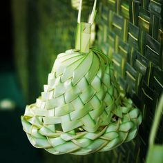 a green plant hanging from the side of a wall