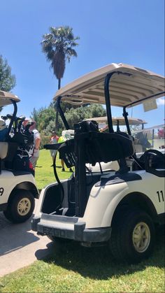 two white golf carts parked on the grass