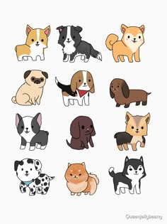 a bunch of dogs that are all different colors