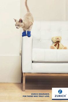 a cat standing on top of a white couch next to a stuffed bear and teddy bear