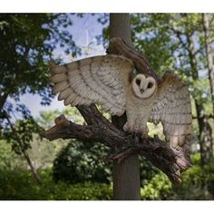 an owl perched on top of a tree branch