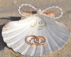 two wedding rings are placed on a seashell with the number twenty five written on it