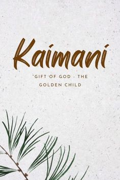 the cover of a gift of god, the golden child by ka'anani