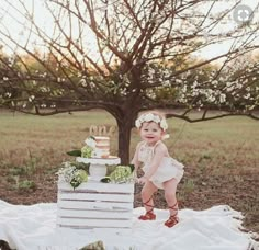 a baby standing next to a cake on top of a blanket in front of a tree