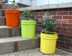 two buckets with plants in them sitting on the steps