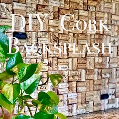 a plant in front of a cork wall with the words diy cork back splash