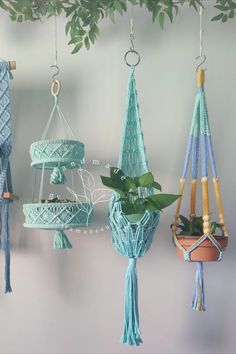 macrame plant hangers with plants in them