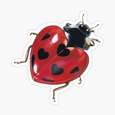 two ladybugs sitting on top of each other in the shape of heart shapes