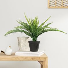 a potted plant sitting on top of a wooden table next to a white vase