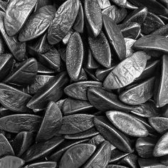 black and white photograph of sunflower seeds