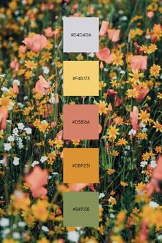 a field full of yellow and orange flowers with the names in each row on them